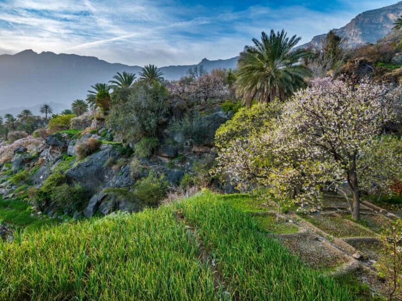 History & Nature Trail - Nakhal & Wakan Village - What to Expect: A Day of Culture and Nature