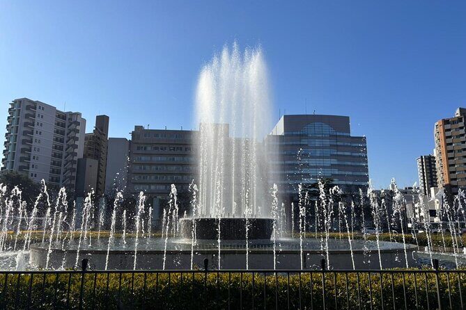 History of Hiroshima Private Walking Tour - Why Choose a Private Tour in Hiroshima?