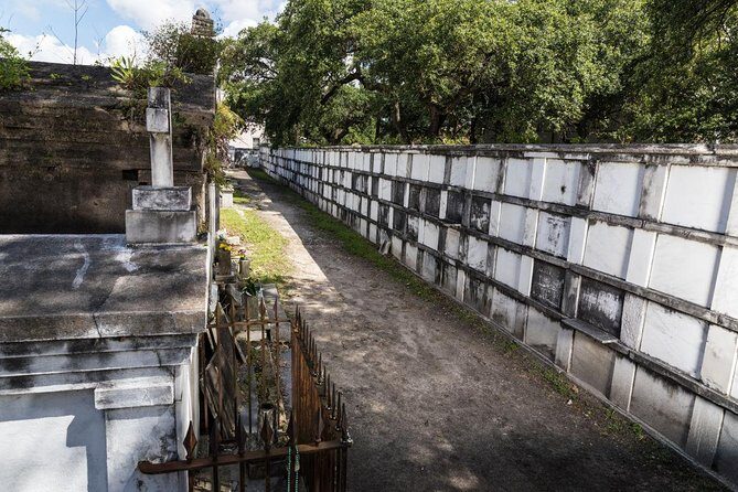 History of New Orleans Private Driving & Walking Tour - Pricing and Value