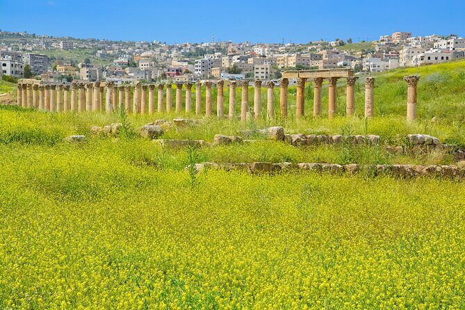 Histroy Tour in Jerash Ruins and Ajloun Castle - The Experience Through Travelers’ Eyes