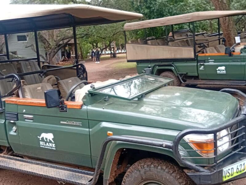 Hlane: Rhino Walk, Game Drive & Wilderness Picnic - Key Points