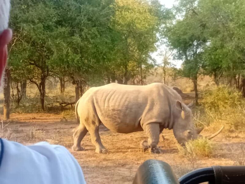Hlane: Rhino Walk, Game Drive & Wilderness Picnic - Who Should Consider This Tour?