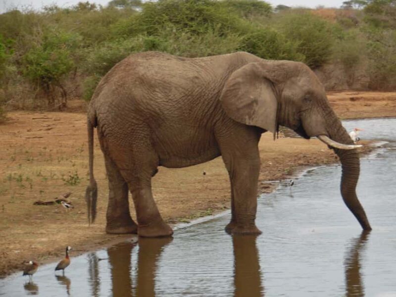 Hluhluwe Epic Explorer - Safari & Rural - Who Should Consider This Tour?