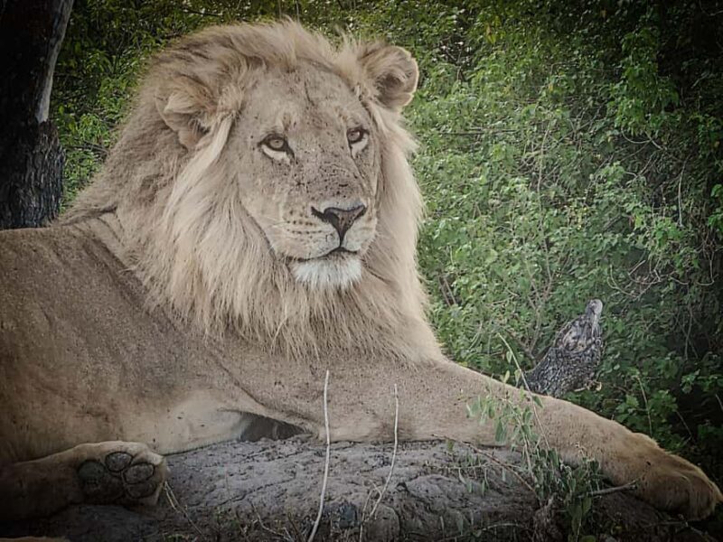 Hluhluwe Epic Explorer - Safari & Rural - Frequently Asked Questions