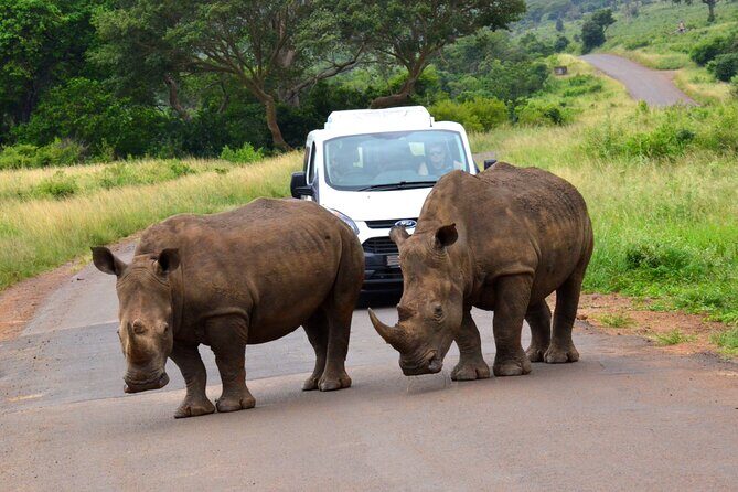 Hluhluwe Imfolozi & DumaZulu Cultural Village Tour from Durban - Key Points