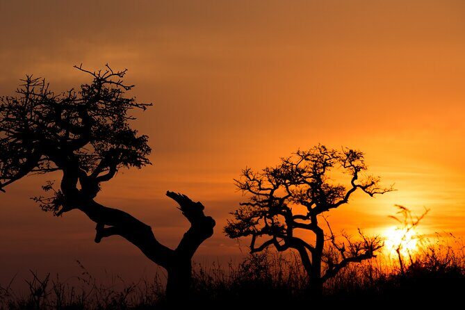 Hluhluwe-iMfolozi Park Exclusive Private Full Day Big 5 Safari - Diving Into the Experience: What to Expect from the Tour