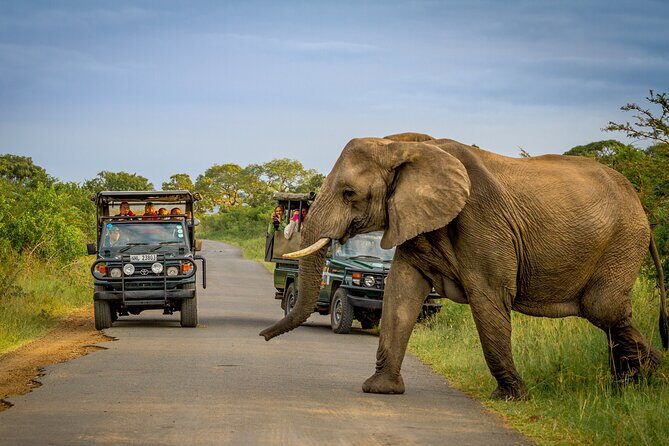 Hluhluwe-iMfolozi Park Exclusive Private Full Day Big 5 Safari - Final Thoughts