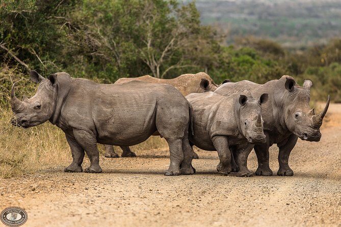 Hluhluwe-Imfolozi Park Full Day Big 5 Safari Tour - FAQ