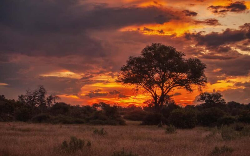 Hluhluwe-iMfolozi Park - Open Safari Vehicle Game Drives - Key Points