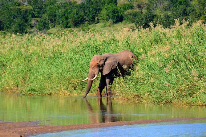 Hluhluwe Imfolozi Safari Day Tour from Durban - Final Thoughts