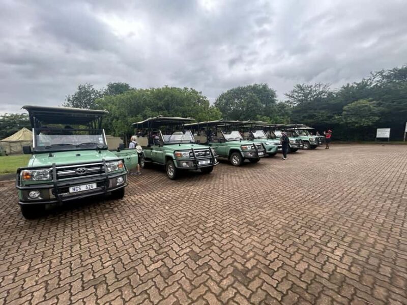 Hluhluwe Imfolozi Safari including Open Vehicle Game Drive - What to Expect on the Day