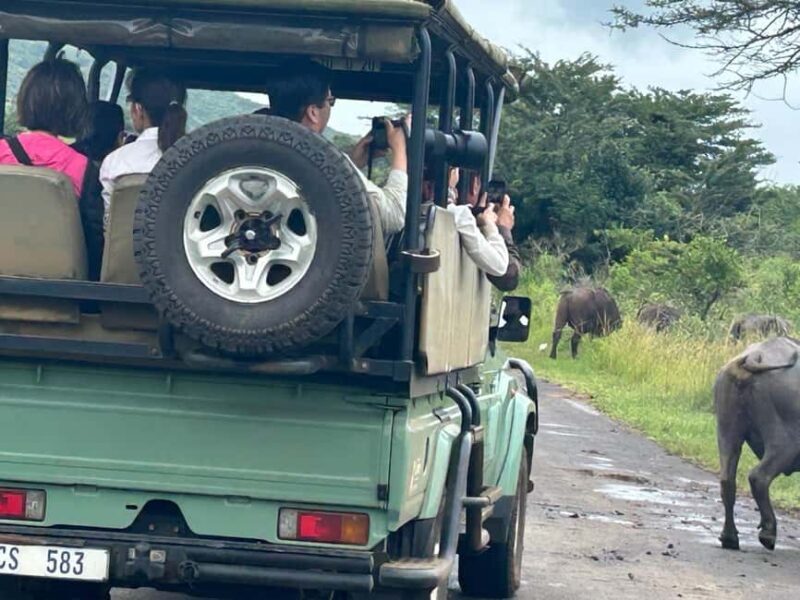 Hluhluwe Imfolozi Safari including Open Vehicle Game Drive - The Sum Up