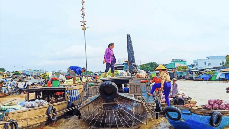 Ho Chi Minh: 1 Day Can Tho Floating Market & Cu Chi Tunnels - Return to Ho Chi Minh City