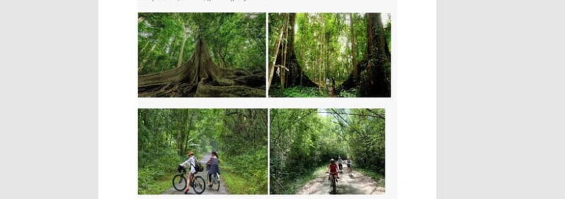 Ho Chi Minh: 2 Days Private Nam Cat Tien National Park - Frequently Asked Questions