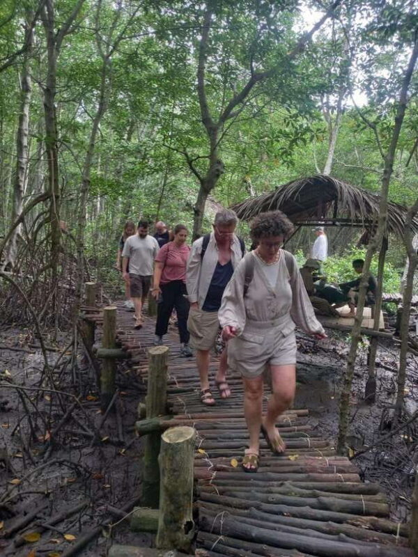 Ho Chi Minh: Can Gio Mangrove and Monkey Island - Key Points