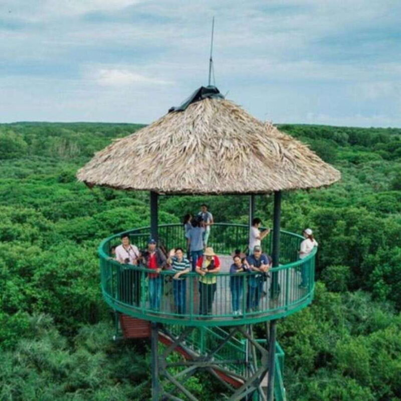 Ho Chi Minh: Can Gio Mangrove and Monkey Island - Who Is This Tour Best For?