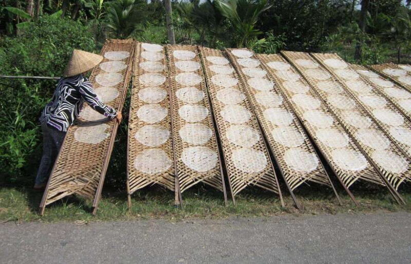 Ho Chi Minh City: Cai Rang Floating Market in Can Tho Tour - An In-Depth Look at the Tour Experience