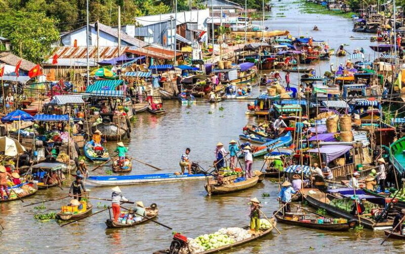 Ho Chi Minh City: Cai Rang Floating Market in Can Tho Tour - Who Will Appreciate This Tour?