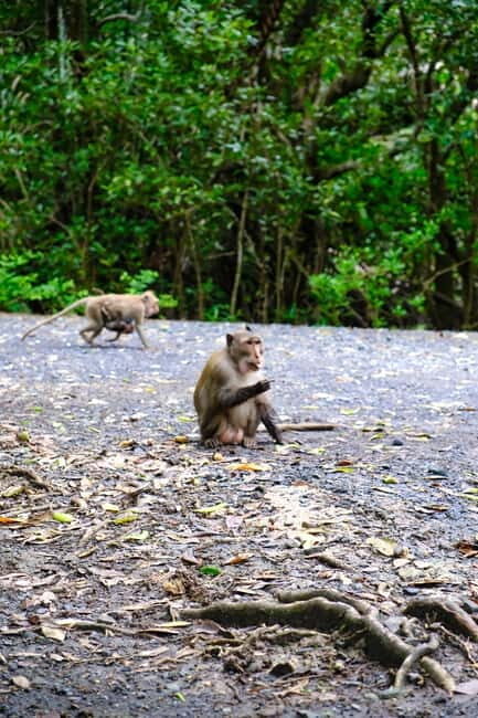 Ho Chi Minh City: Can Gio Mangrove & Wildlife Speedboat Tour - What’s It Like, Step by Step