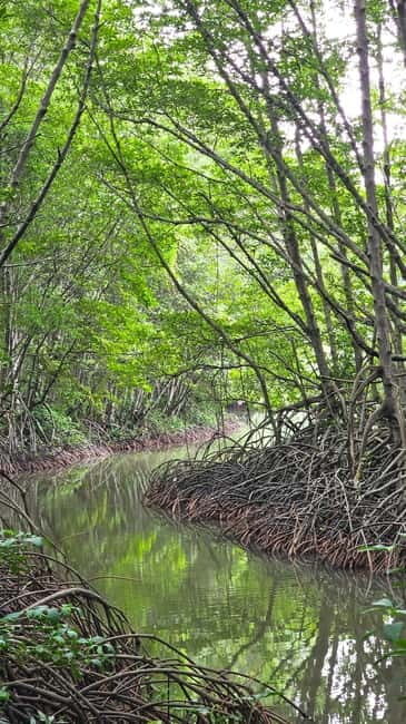 Ho Chi Minh City: Can Gio Mangrove & Wildlife Speedboat Tour - Who Should Consider This Tour?