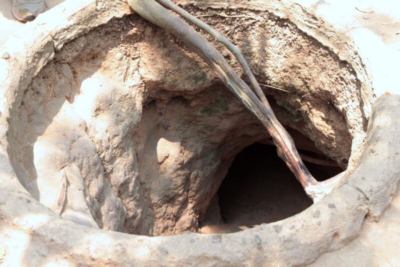 Ho Chi Minh City: Cu Chi Tunnels Morning or Afternoon Tour - What Makes This Tour Special?