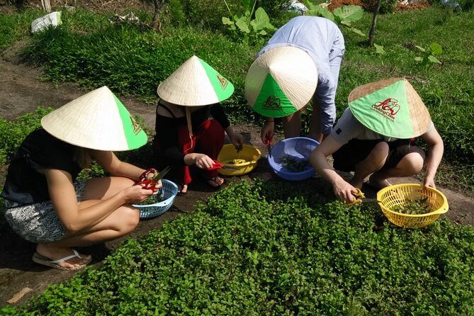 Ho Chi Minh City Full-Day Cooking Class with City Tour - Analyzing the Value: Price and Whats Included