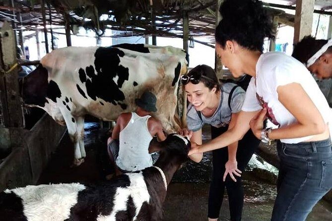 Ho Chi Minh City Full-Day Farm trip with Healthy Cooking Class - An Introduction to the Experience