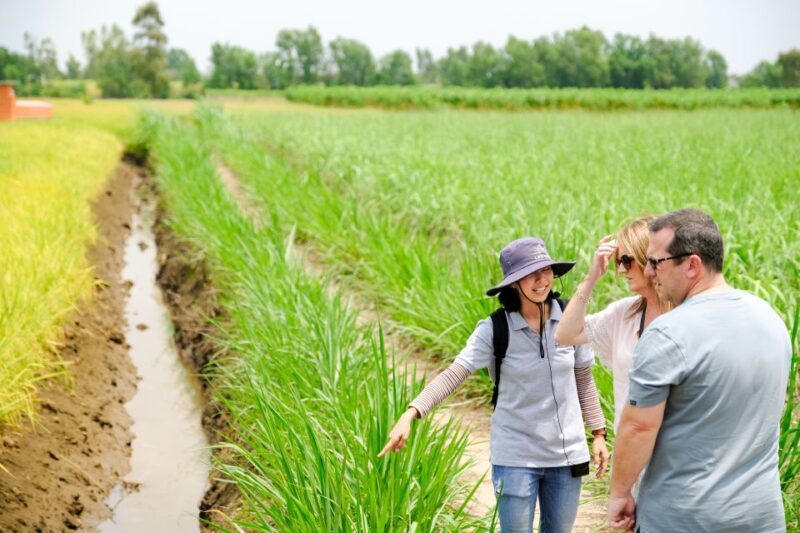 Ho Chi Minh City: Mekong Delta Full-Day Speedboat Tour - Value and Experience: Does It Live Up to the Price?