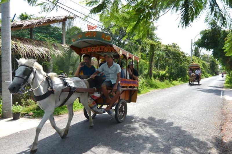Ho Chi Minh Daily Tour: Full Day Mekong Delta (Private tour) - Transportation and Group Experience