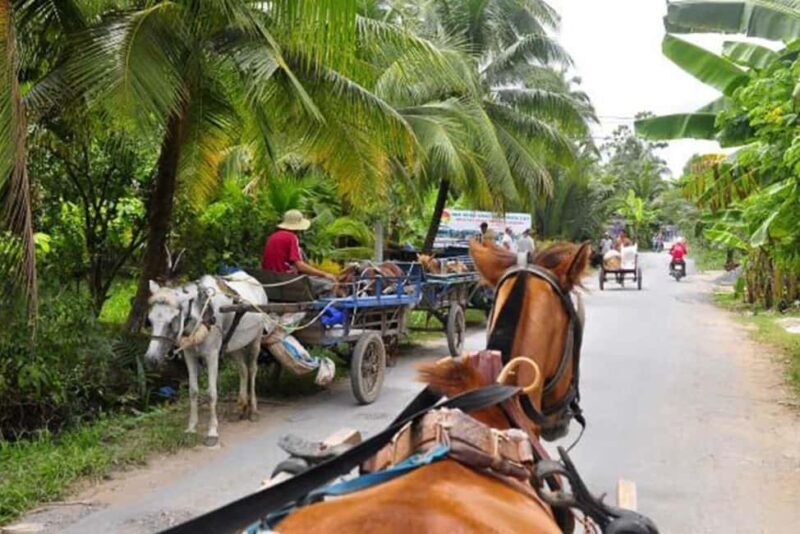 Ho Chi Minh Daily Tour: Full Day Mekong Delta (Private tour) - Pricing and Value