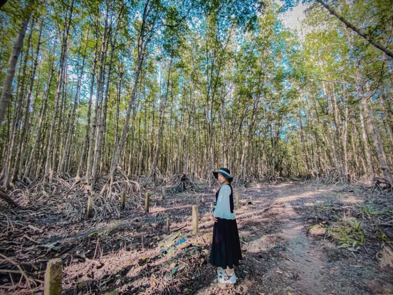 Ho Chi Minh: Explore Can Gio Mangrove Forest & Monkey Island - Returning to Ho Chi Minh City