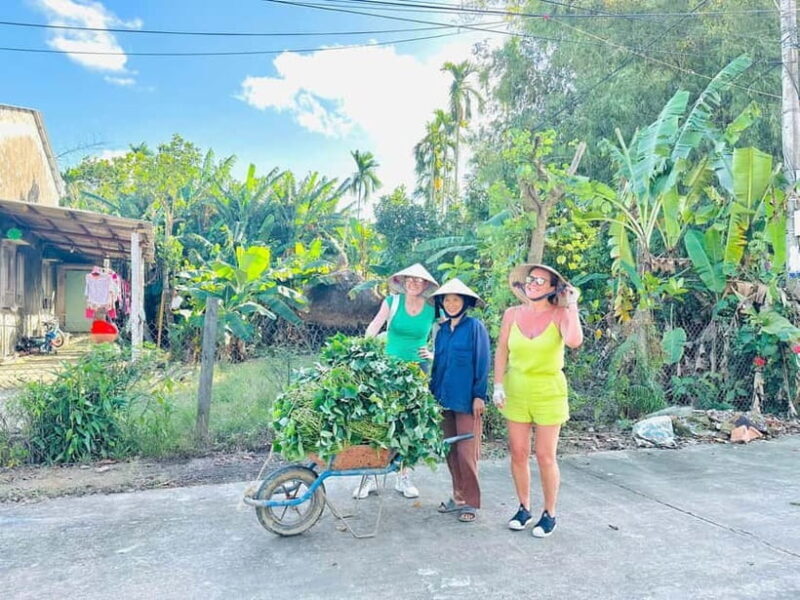 Ho Chi Minh: Mekong Delta Day Trip Small Group (Max 11 Pax) - Key Points