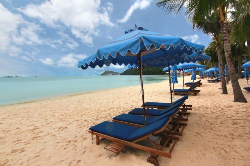 Ho Coc Beach, Nature Reserve & Dragon Fruit Farm Day Tour - Exploring the Phuoc Buu Nature Reserve