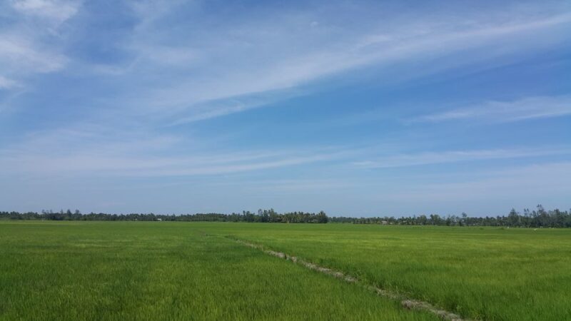 Ho Coc Beach, Nature Reserve & Dragon Fruit Farm Day Tour - Final Thoughts