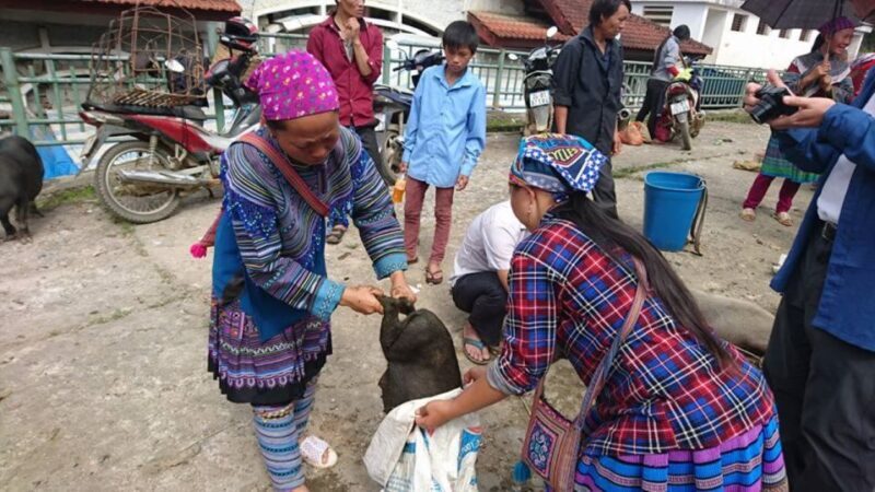 Hoàn Kim: 3-Day Sapa Trek Adventure Tour with Local Guide - FAQ