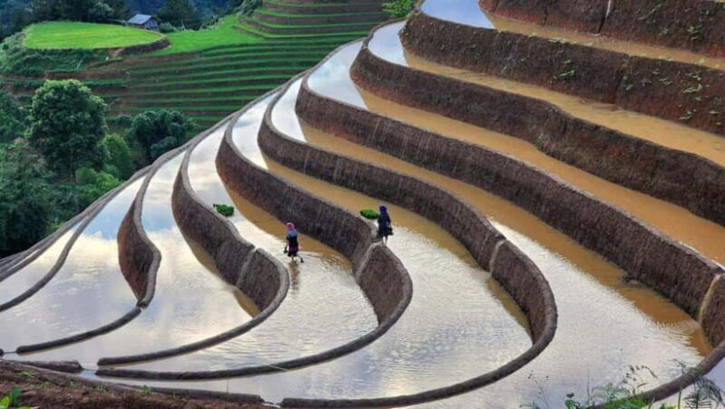 HOANG SU PHI - DONG VAN - MA PI LENG PASS 5 DAYS 6 NIGHTS - The Experience: Comfort, Adventure, and Authenticity