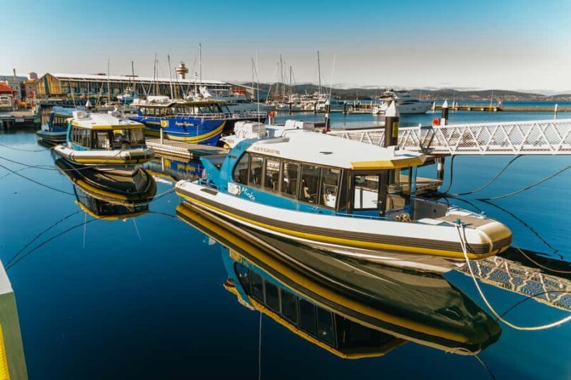 Hobart: 2.5-hour Iron Pot Lighthouse Cruise - What Travelers Say