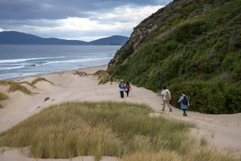 Hobart: 2 Day Bruny Island Escape & Port Arthur with Devils - Balance and Considerations