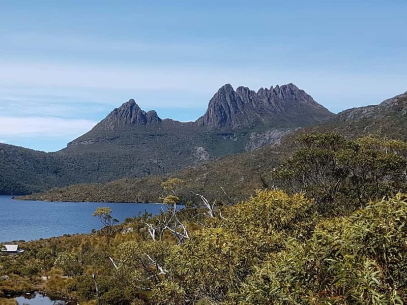 Hobart: 4 Day Wild Tasmania Tour - Overview of the Experience