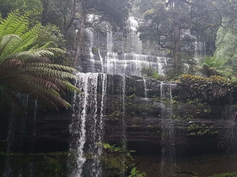 Hobart: 4 Day Wild Tasmania Tour - Day 2: Waterfalls and Forests