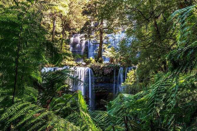 Hobart Adventurer Day Tour | Amazing Views & Native Wildlife - An In-Depth Look at the Itinerary