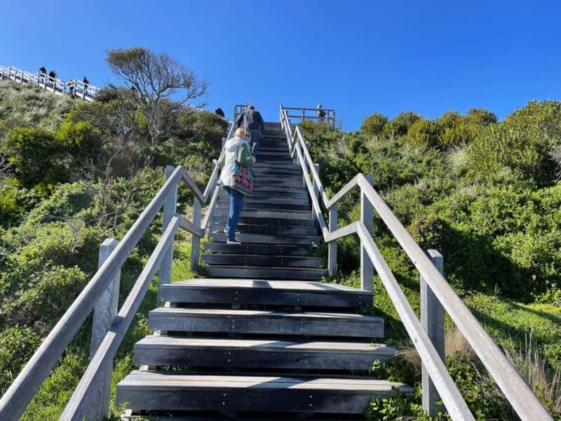 Hobart: Bruny Island Adventure: Hike, Highlights & Tastes - Frequently Asked Questions