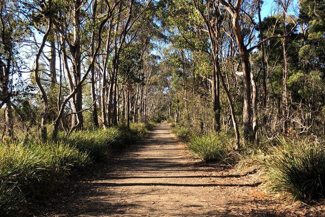 Hobart: Bruny Island Adventure: Hiking, Highlights & Local tastes - Final Thoughts: Who Is This Tour For?