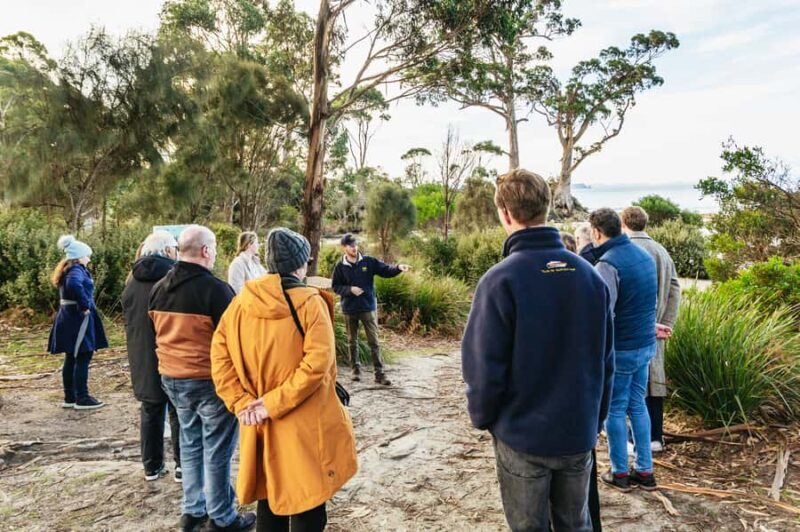 Hobart: Bruny Island Gourmet Sightseeing Day Tour - Key Points
