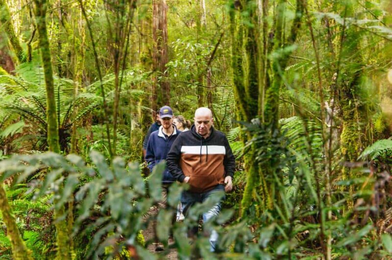 Hobart: Bruny Island Gourmet Sightseeing Day Tour - An In-Depth Look at the Tour Experience