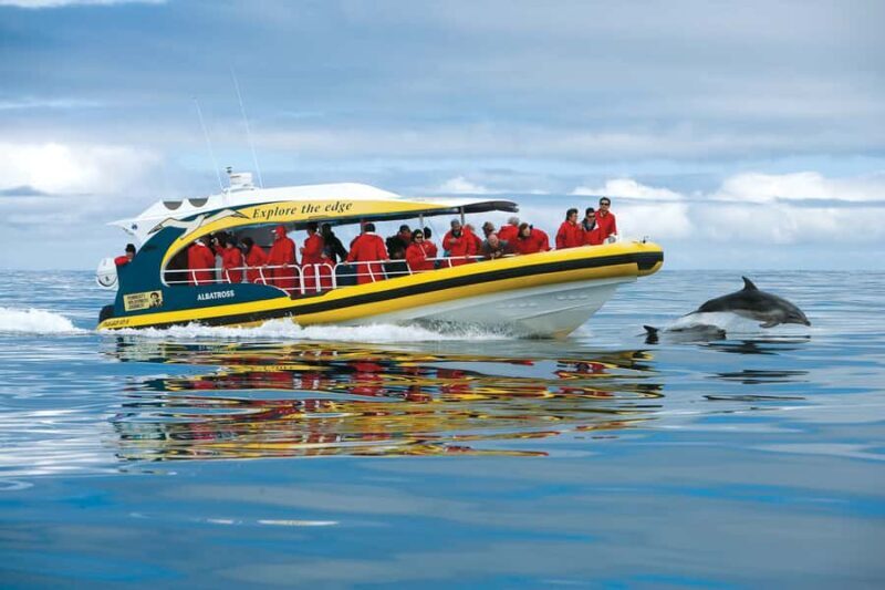 Hobart: Bruny Island Wilderness Coast Eco Cruise with Lunch - The Sum Up