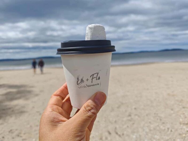 Hobart, Bush and Beach Escape - 2 Hour Small Group Tour - The Itinerary: What to Expect on the Hobart, Bush and Beach Escape Tour