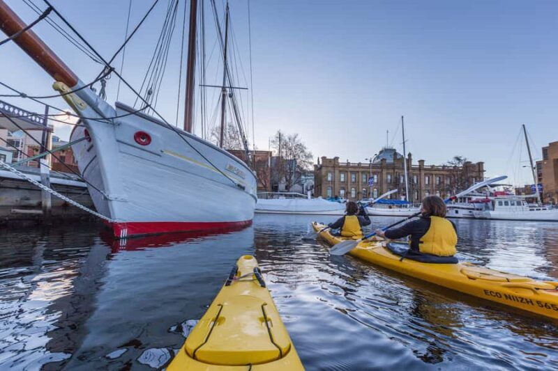 Hobart City 2.5-Hour Kayak Tour - Key Points