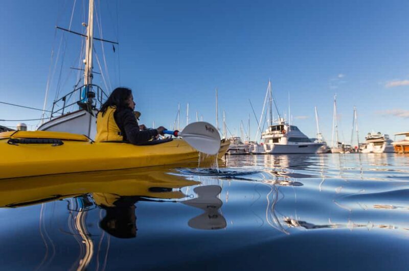 Hobart City 2.5-Hour Kayak Tour - Is It Worth It?