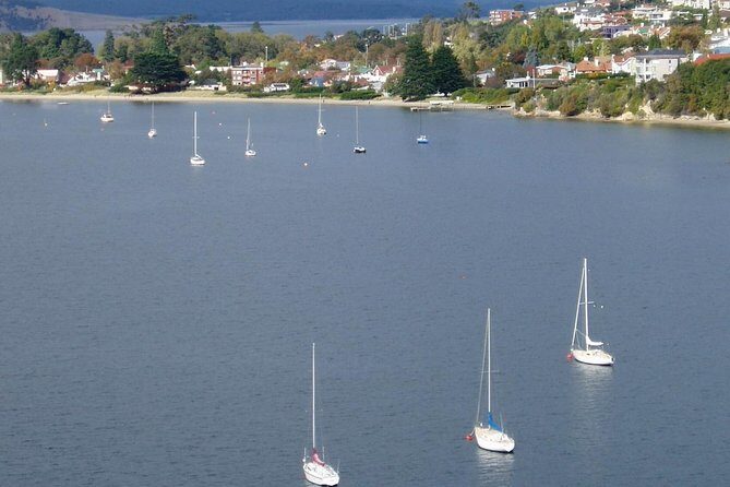 Hobart City Flight Including Mt Wellington and Derwent River - Key Points